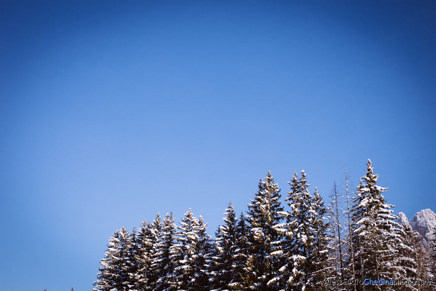 WEDDING PHOTOGRAPHER DOLOMITES