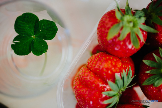 si festeggia il matrimonio con il prosecco