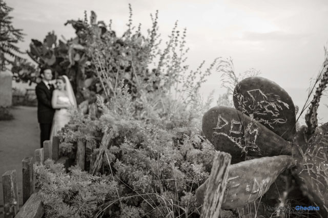 foto di matrimonio con cactus e mare vicino a Tropea