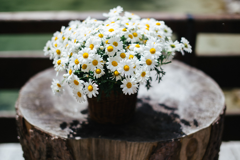 Alessandro Ghedina Wedding Photographer