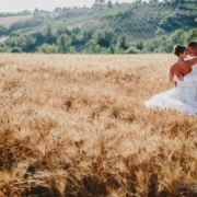 campo di grano al sole per dei bei ritratti di matrimonio