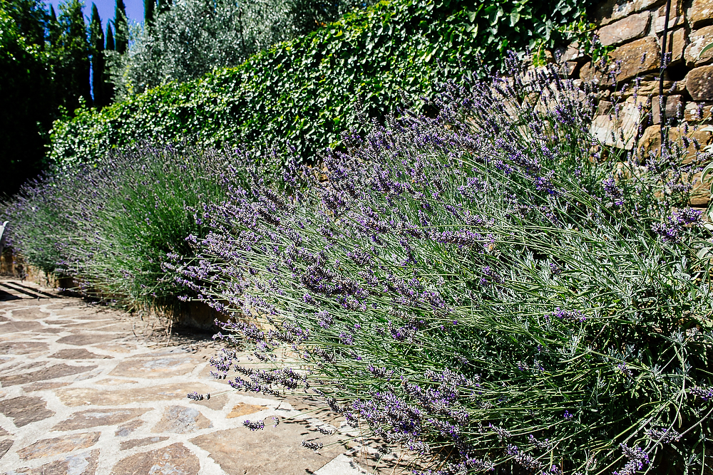 ritratto di famiglia a chianti toscana