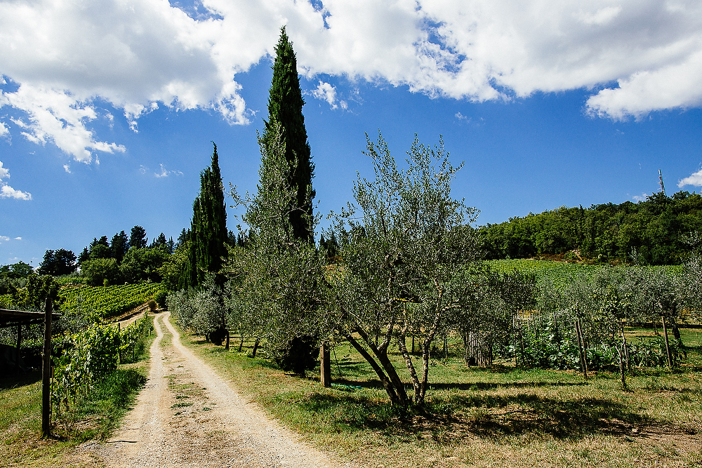 ritratto di famiglia a chianti toscana