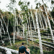 servizio fotografico di matrimonio chiusi la verna